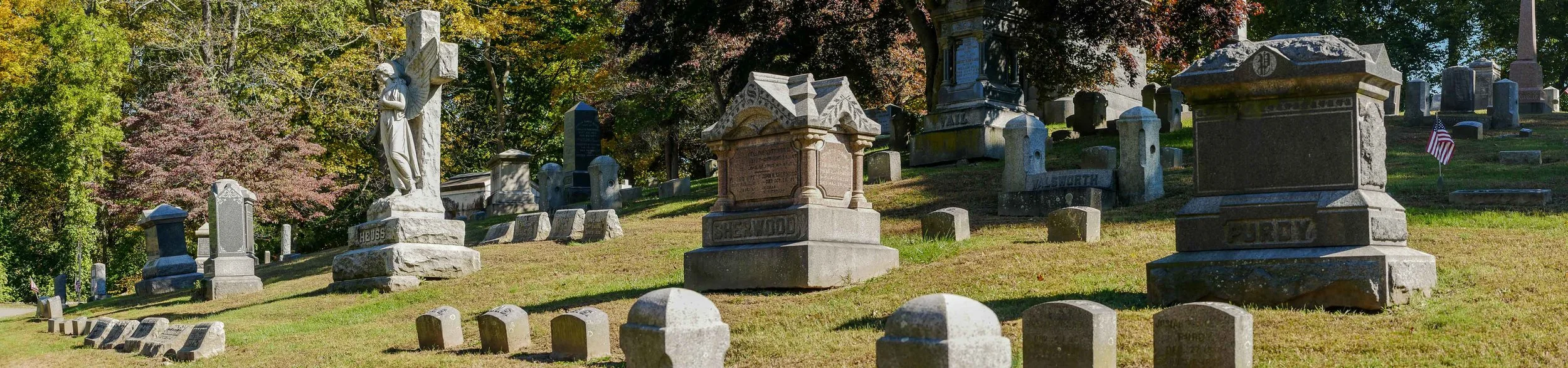 20181025  Panorama 3 Dale _.jpg