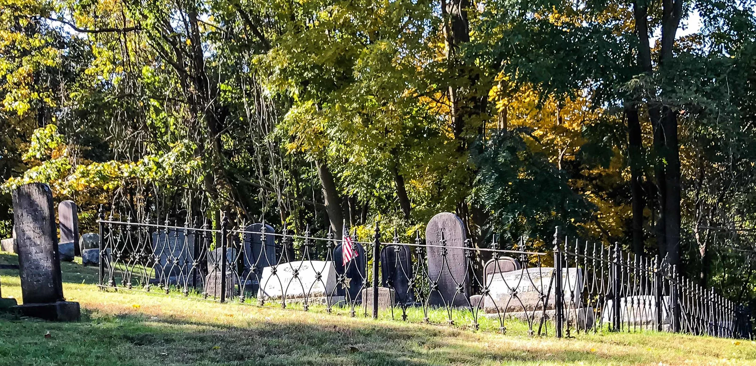 20181031 Photo 7 Dale _.jpg