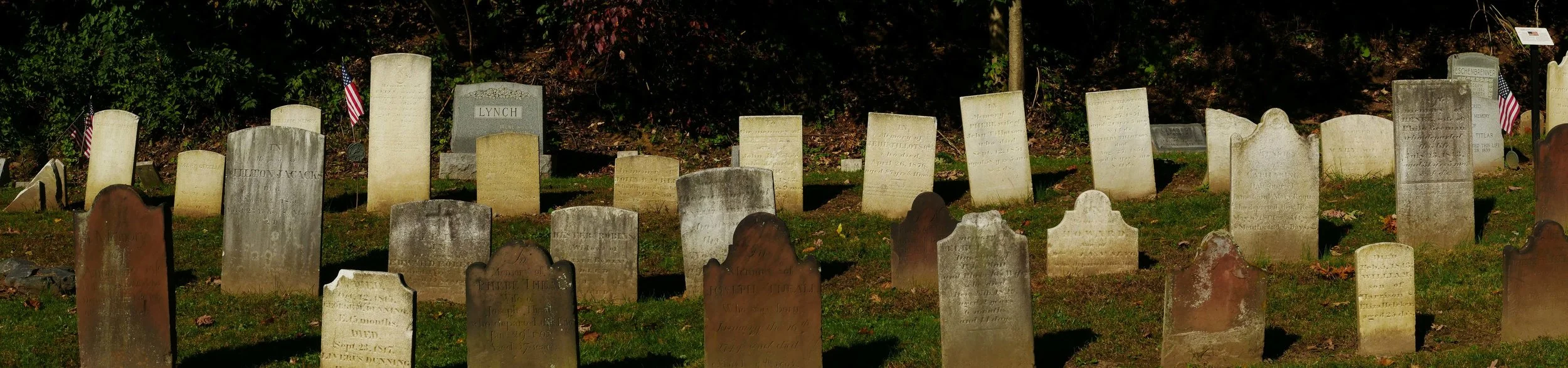 20181025  Panorama 2 Dale _.jpg