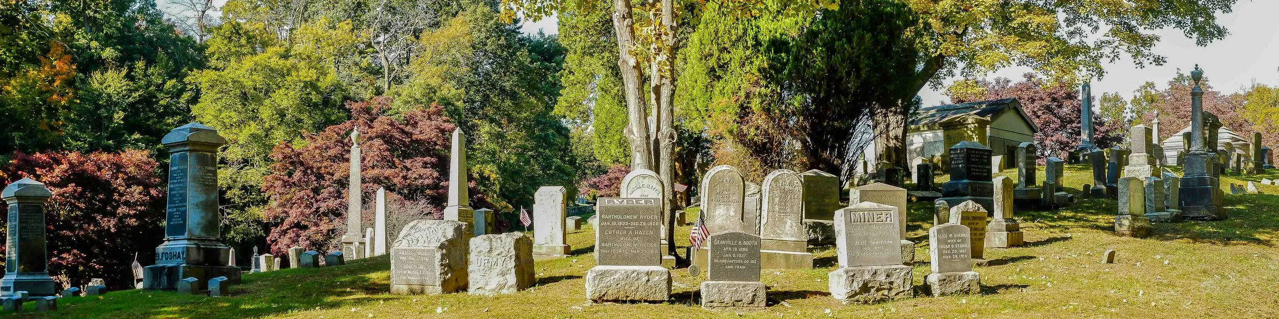 20181025  Panorama 5 Dale _.jpg