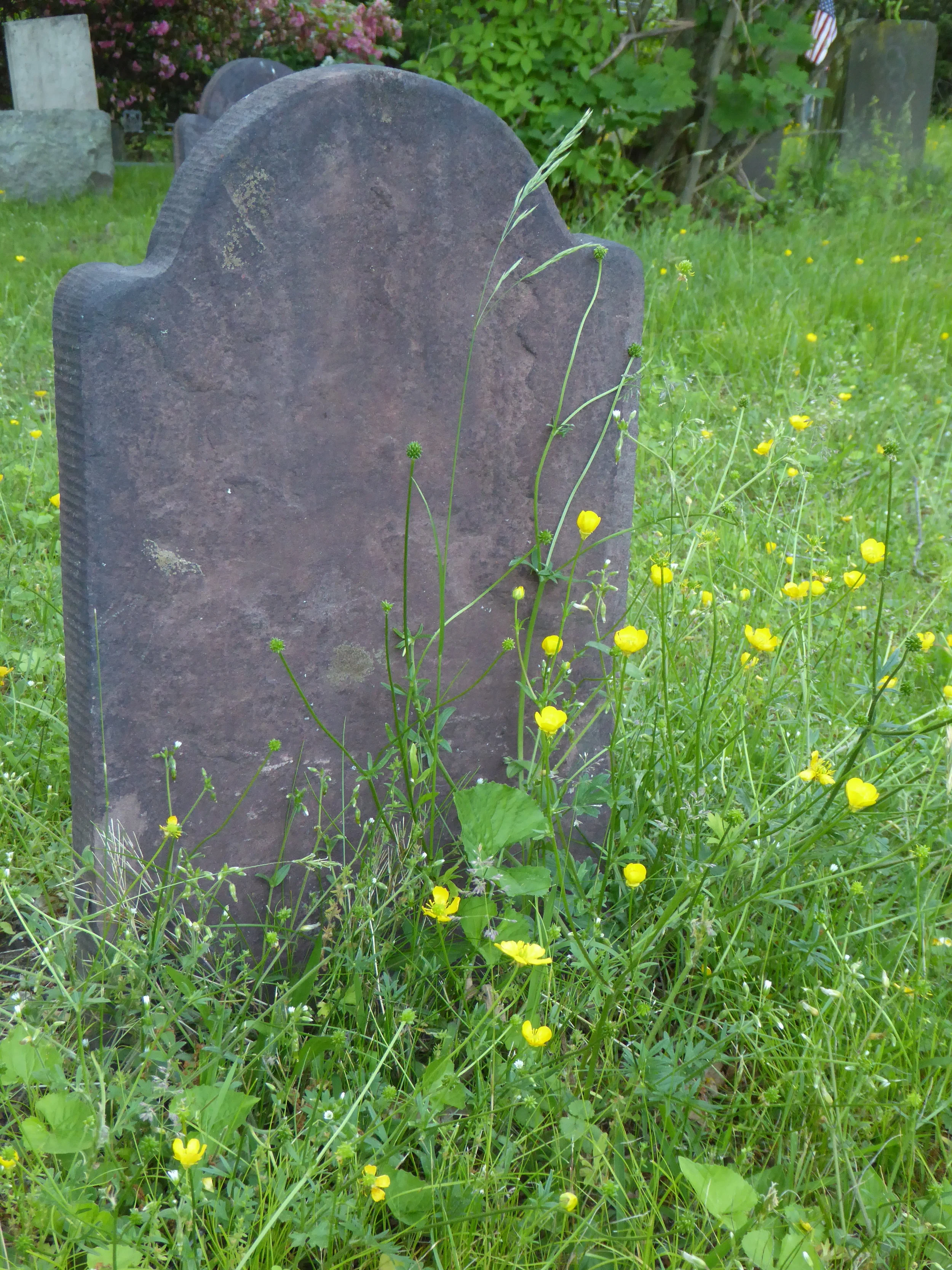 Historic Sparta Cemetery Gravestone Cleaning Workshop