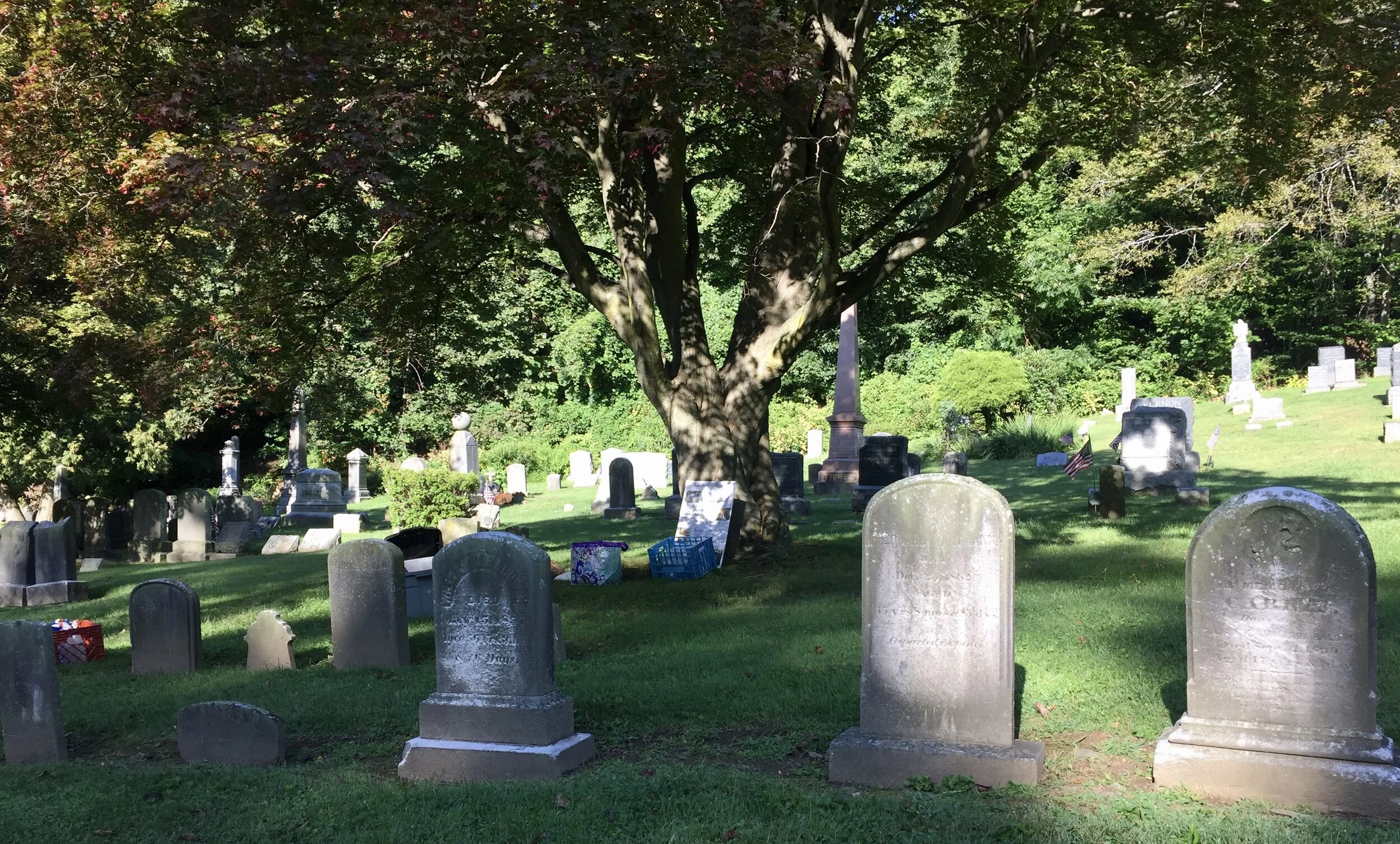 2020 Spring Kickoff- Gravestone Cleaning and Restoration Workshop at Dale Cemetery