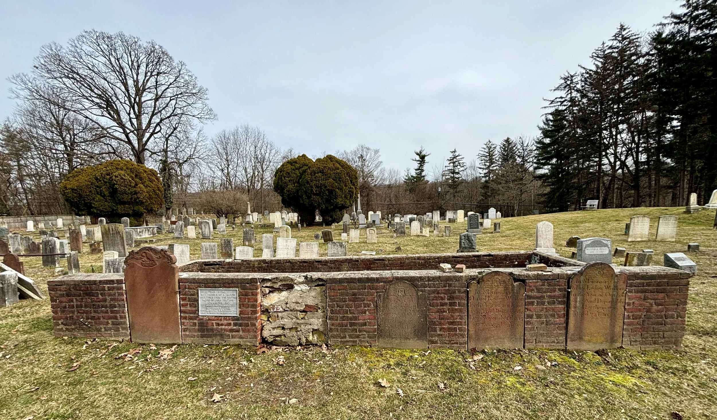 Gravestone Cleaning Workshop at Sparta Cemetery