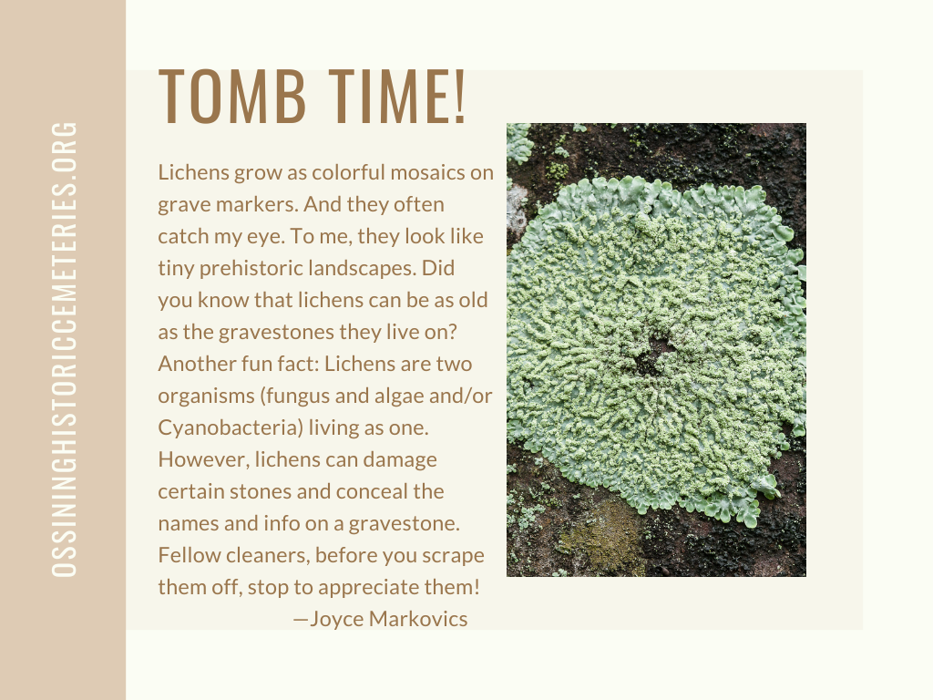 Tomb Time_5.3.24.png