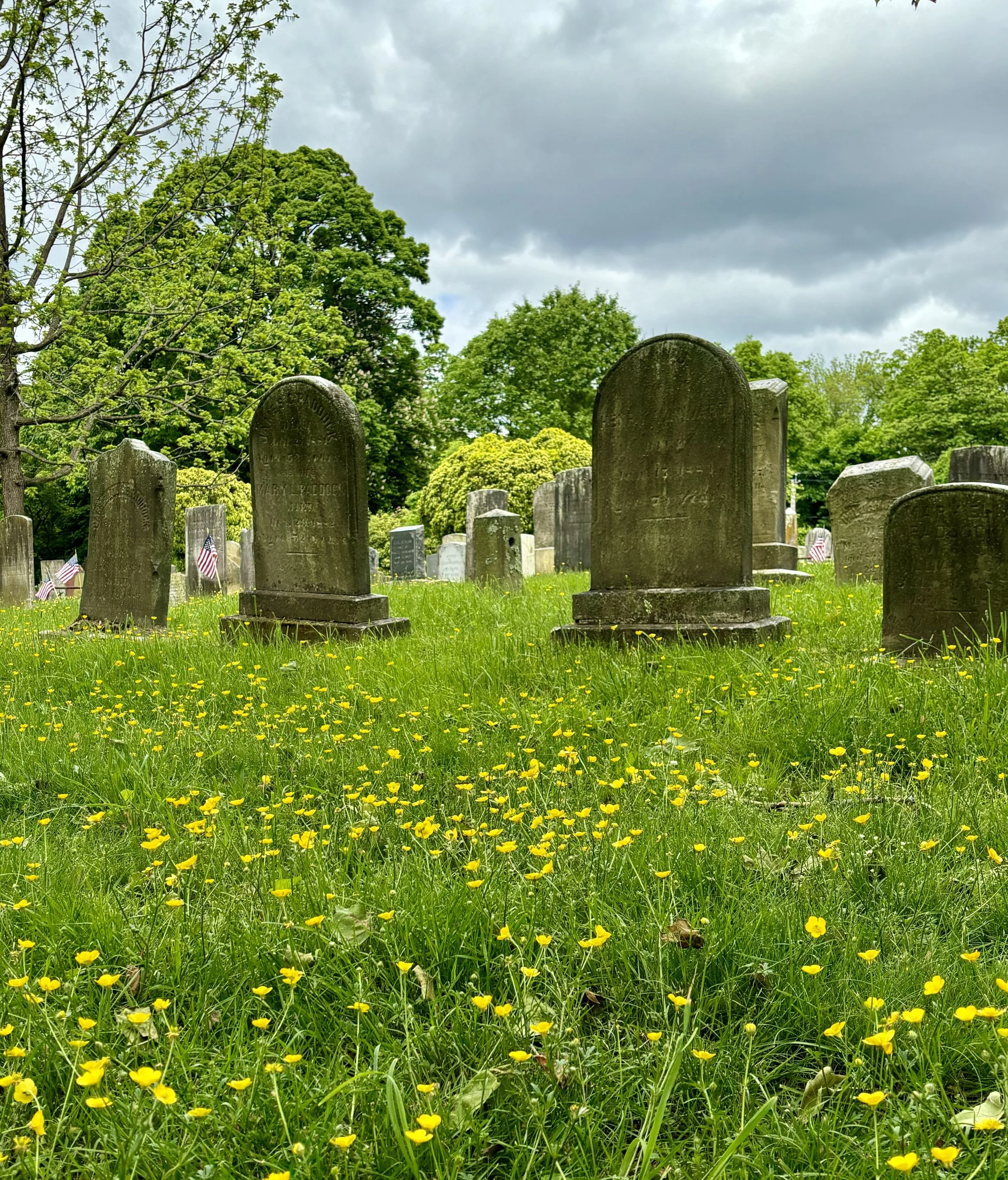 Gravestone Cleaning Workshop at Historic Sparta Cemetery