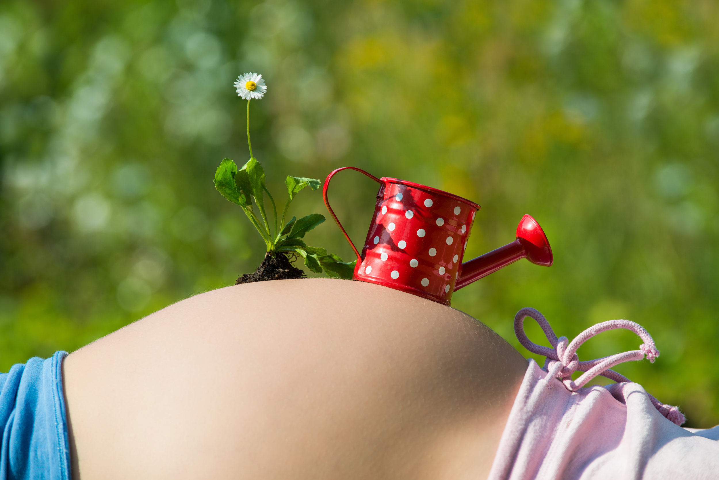 new-england-surrogacy-gestational-surrogates-intended-parents-family-building-352.jpg