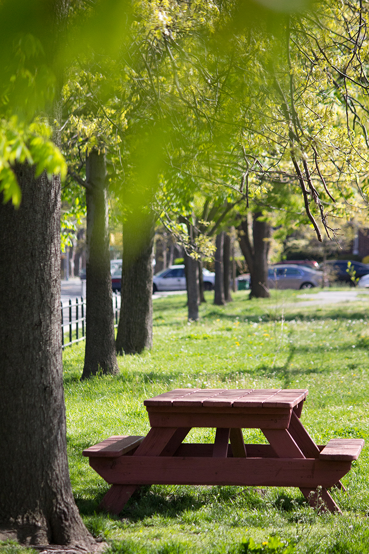 park-bench_stock03.jpg