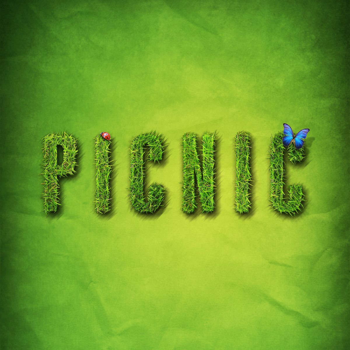 FCPC Picnic Outing