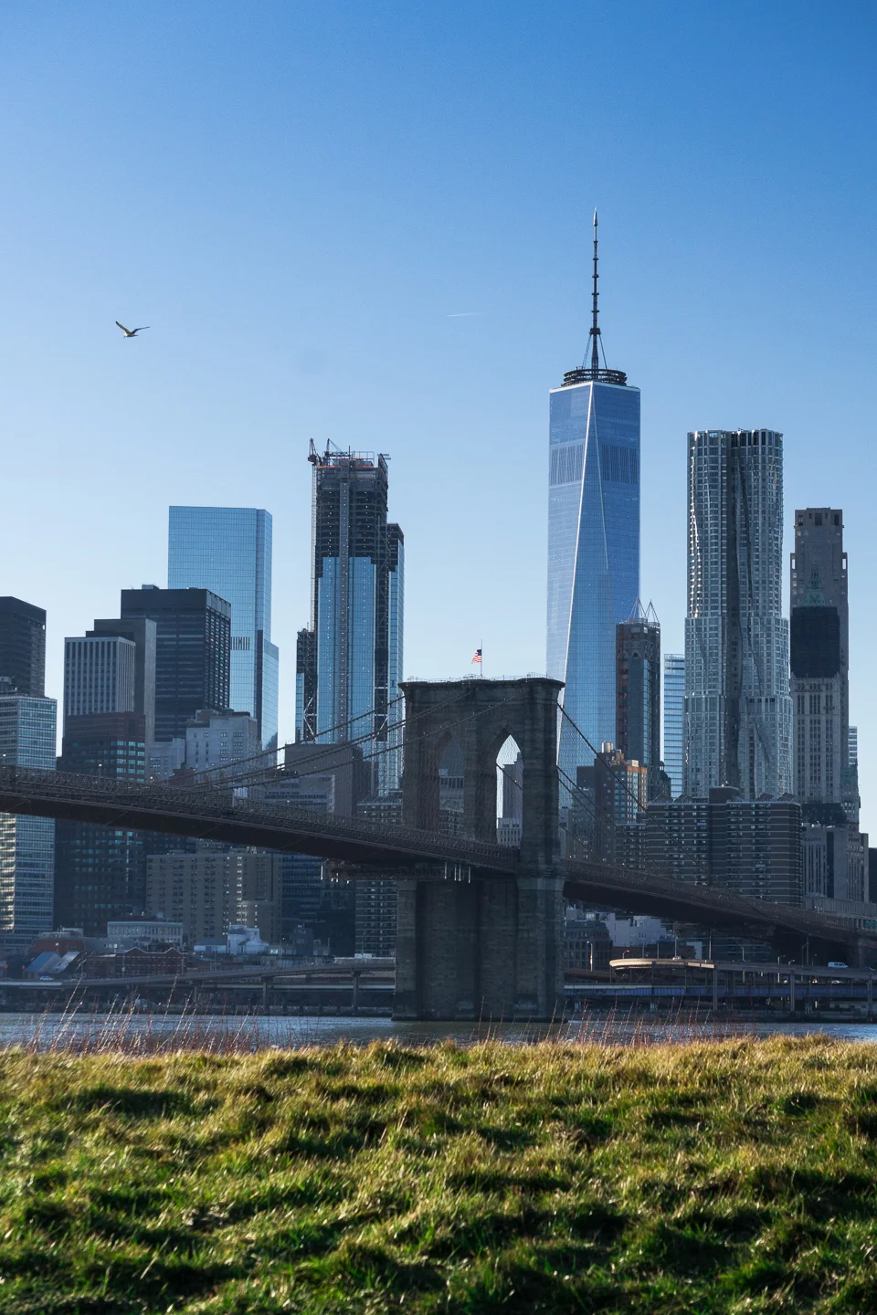 nyc_08_sm.jpg