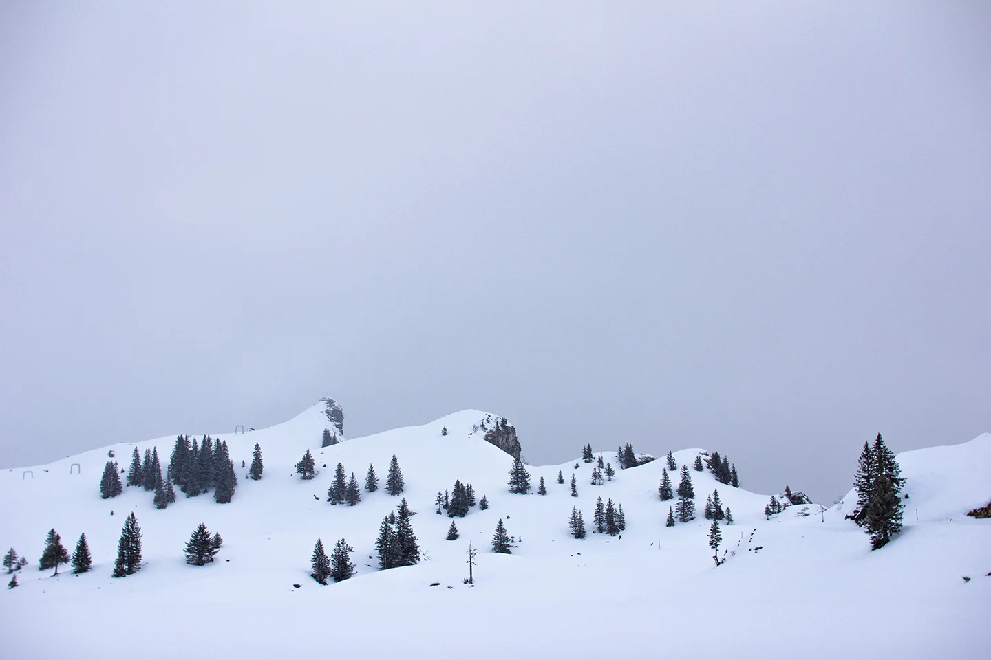 winter_02_s.jpg