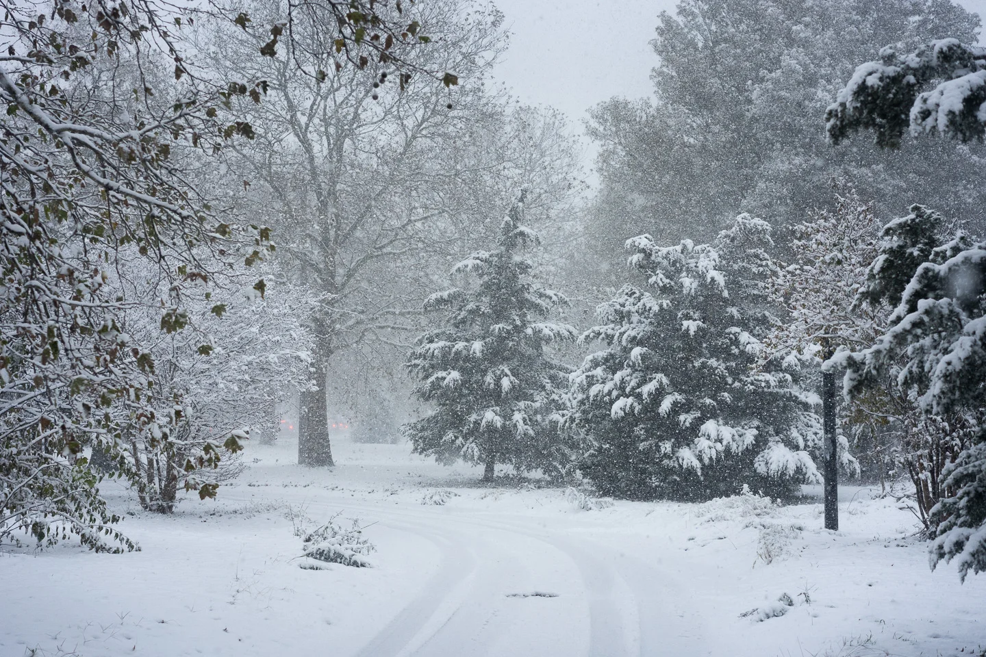 winter_03_s.jpg