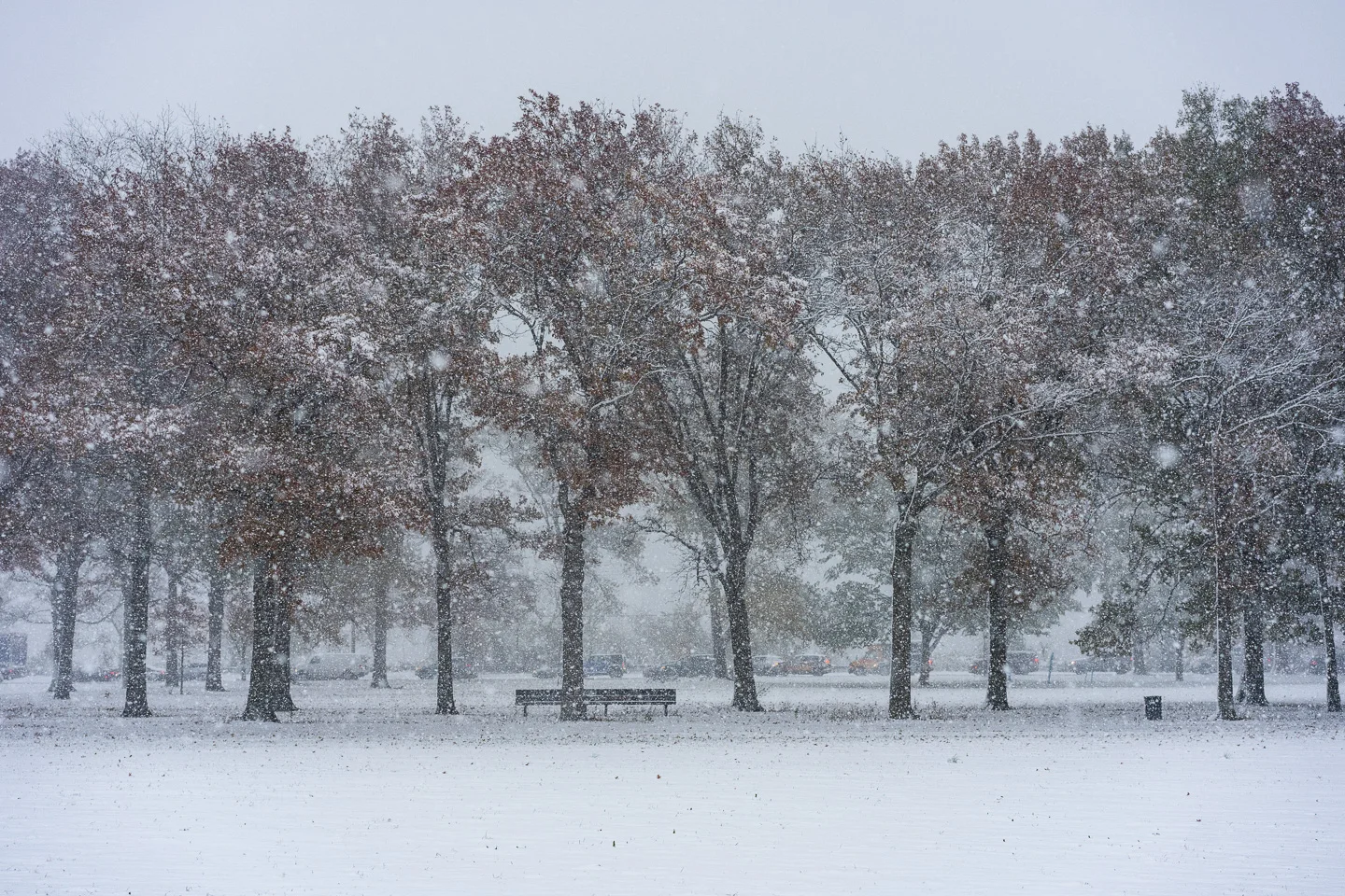 winter_04_s.jpg