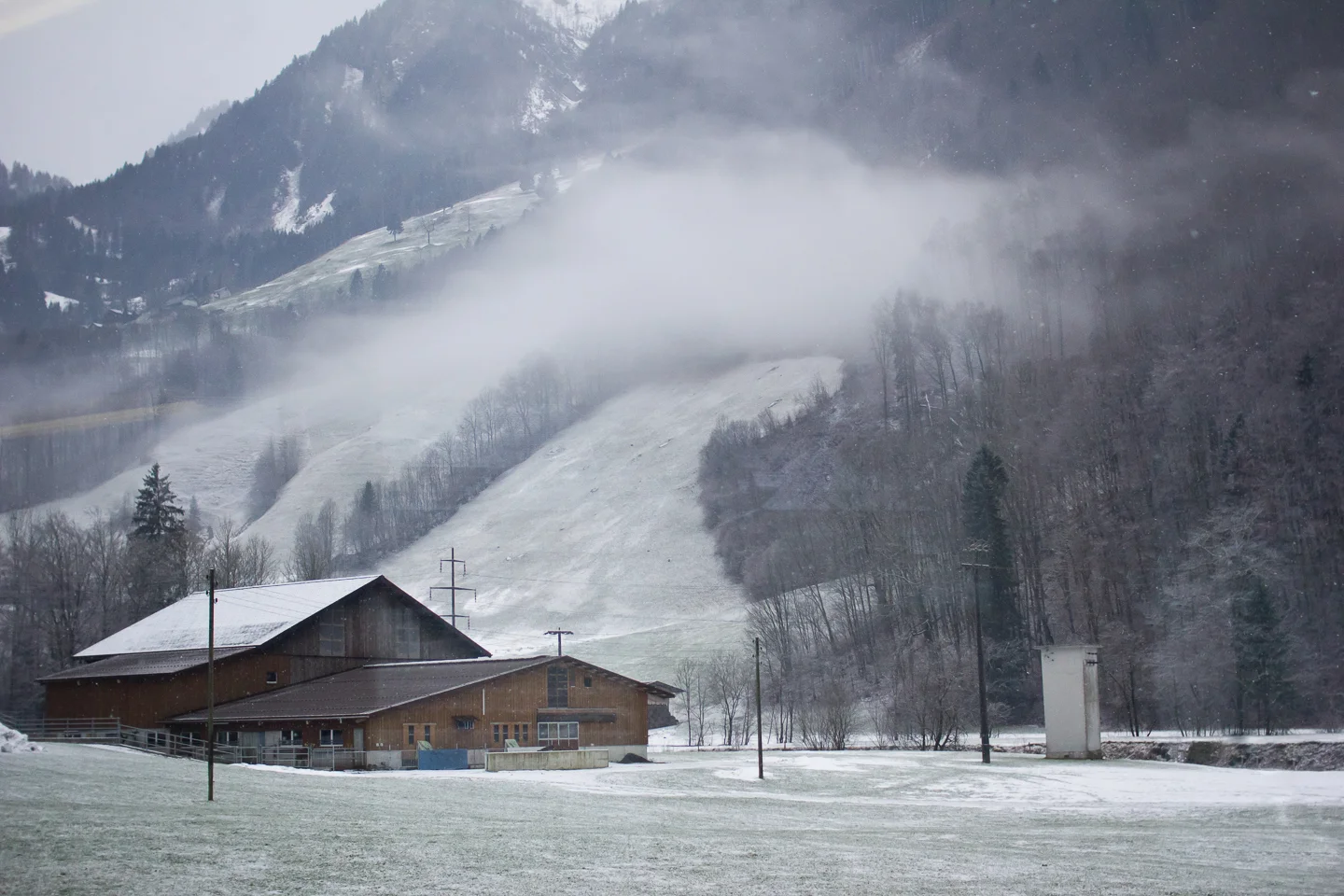 winter_05_s.jpg