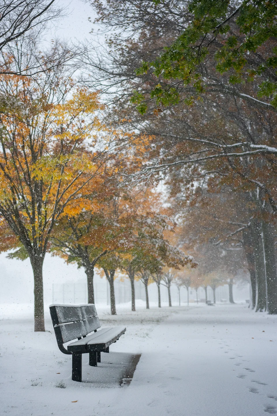 winter_06_s.jpg
