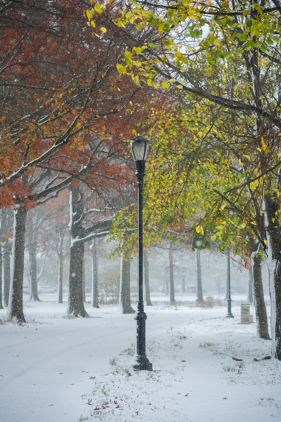 winter_07_s.jpg