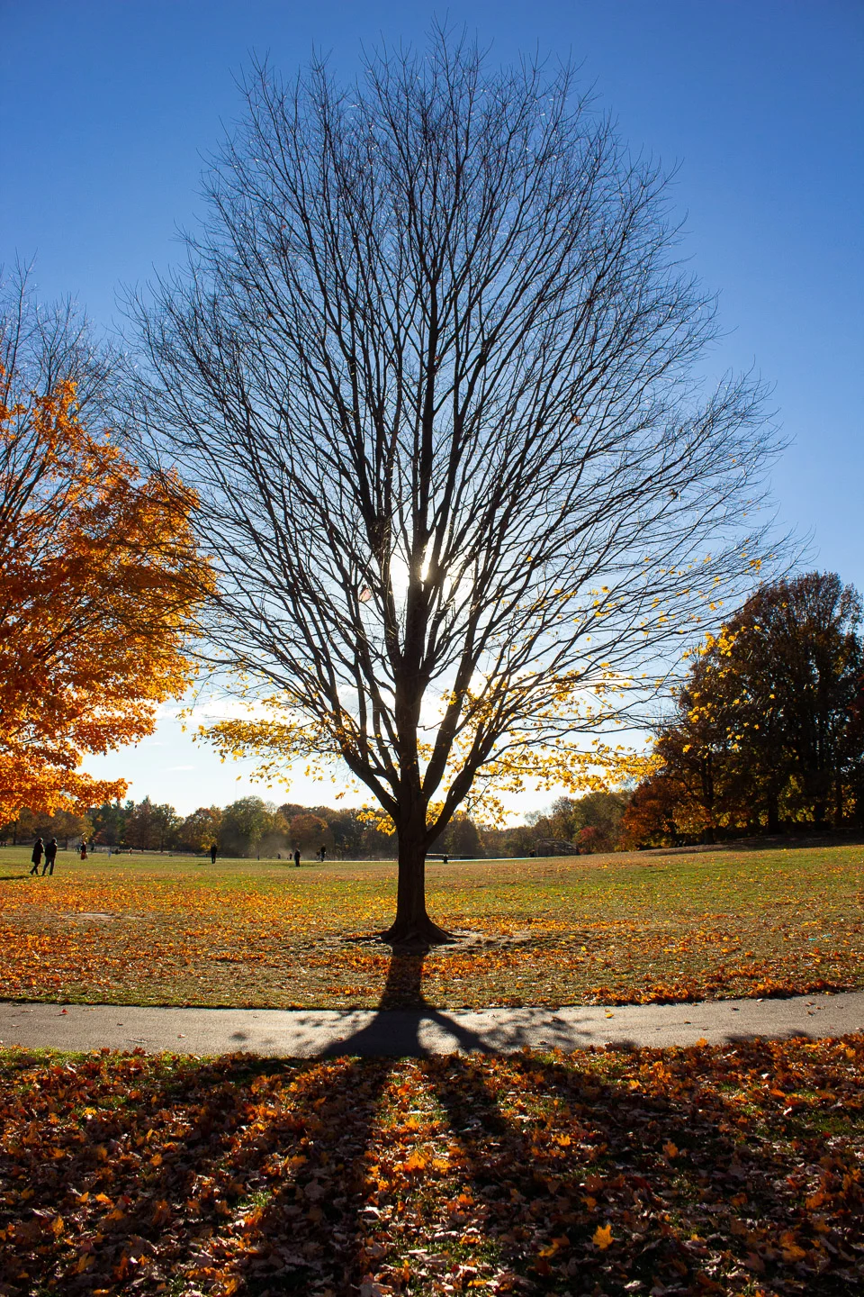 autumn_08_s.jpg