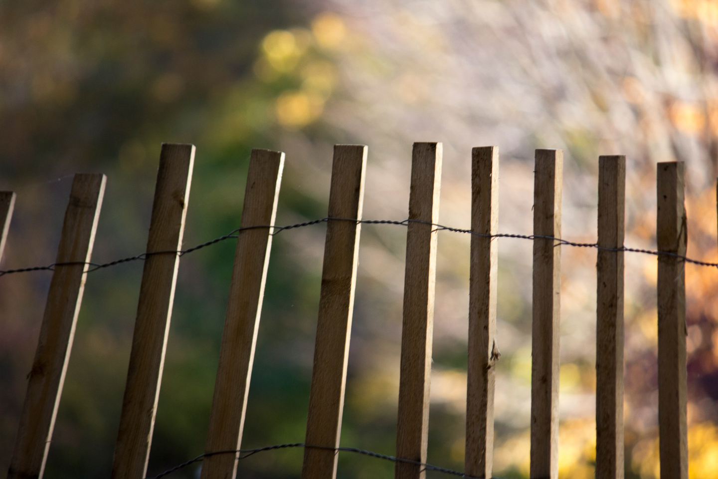 autumn_07_s.jpg
