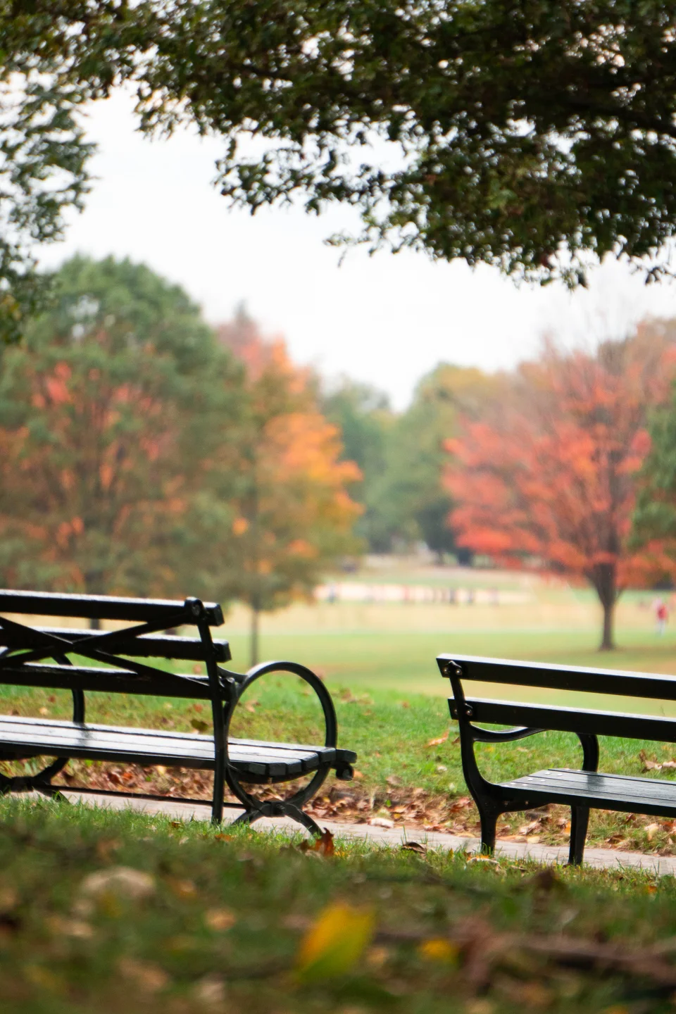 autumn_10_s.jpg