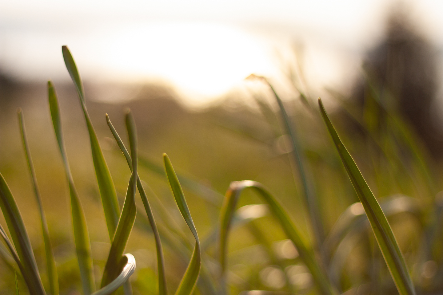 spring_01_s.jpg