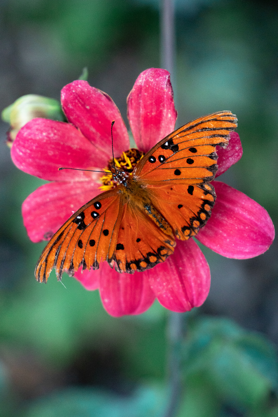 spring_06_s.jpg