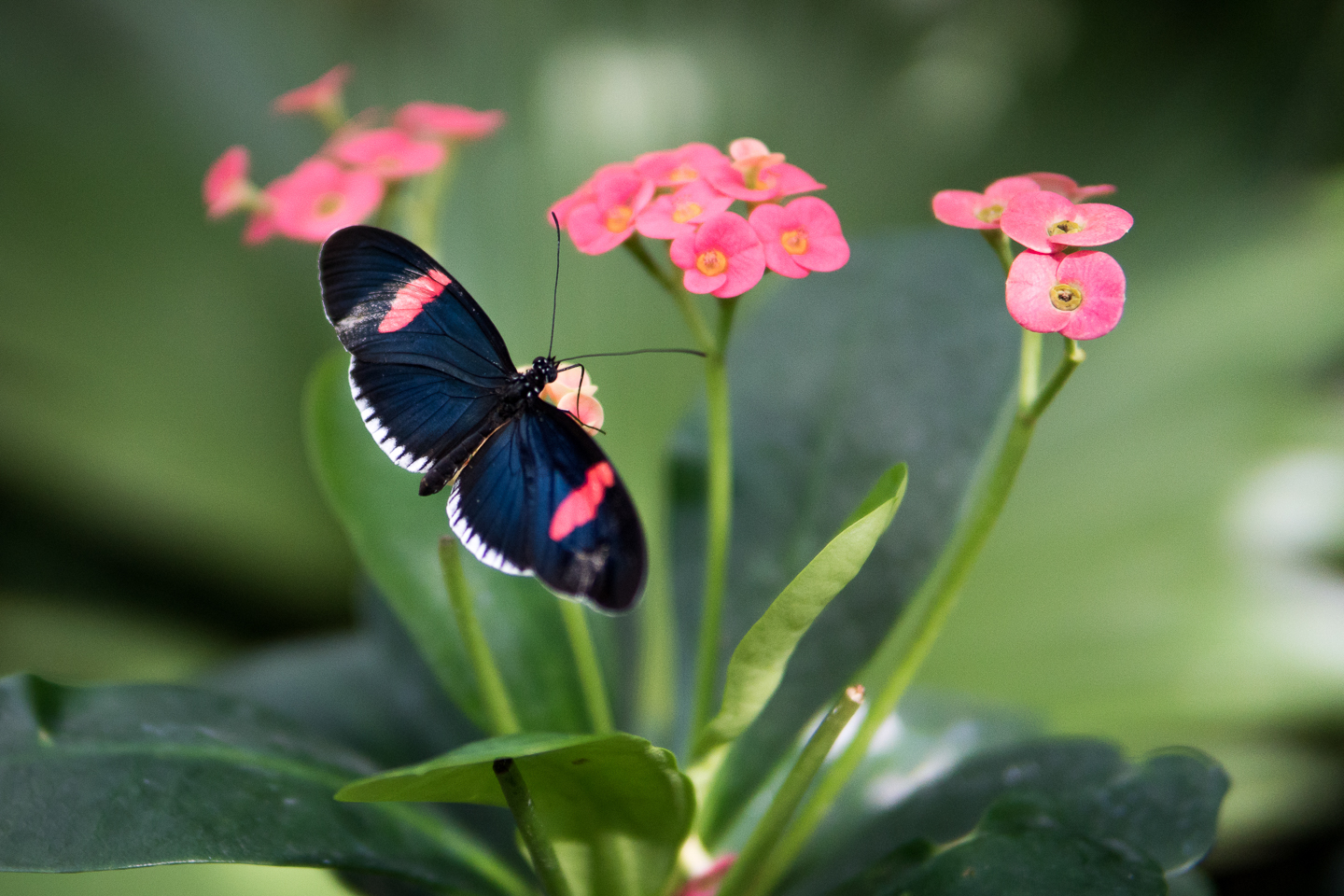 spring_07_s.jpg