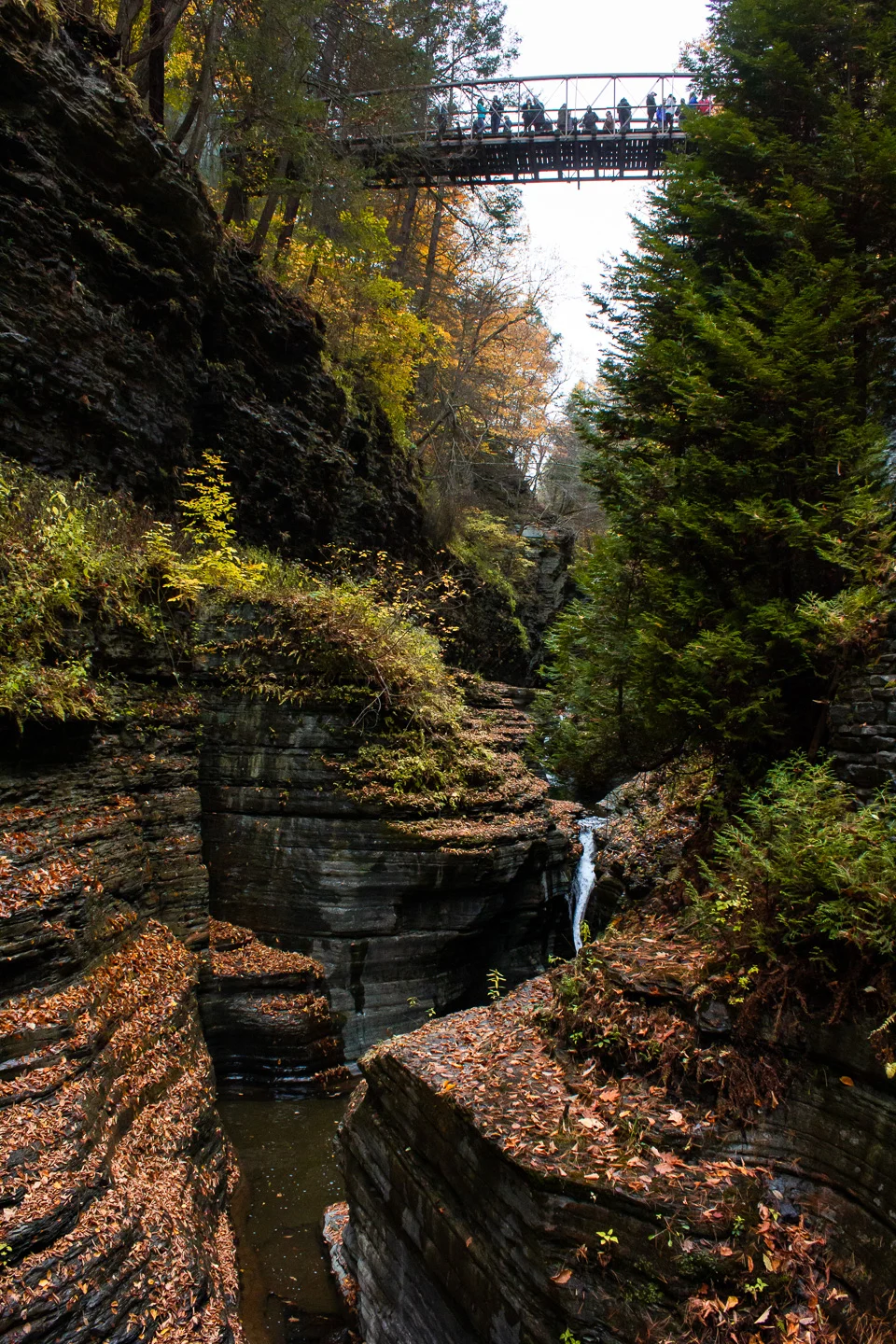 photography-places_41_sm.jpg