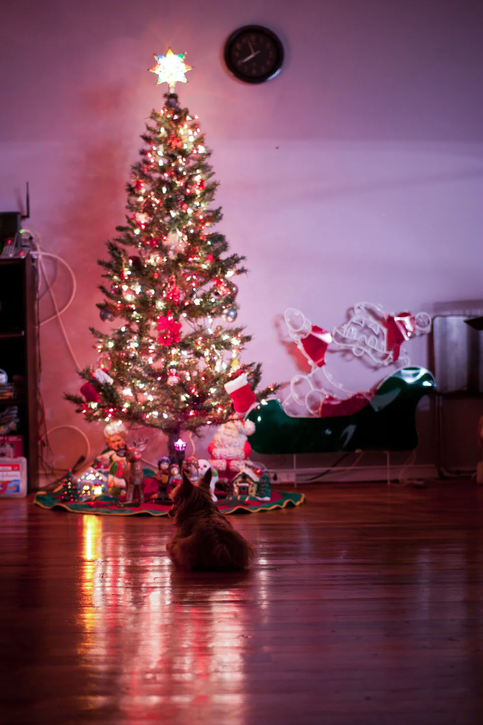 holiday-photo_01_sm.jpg