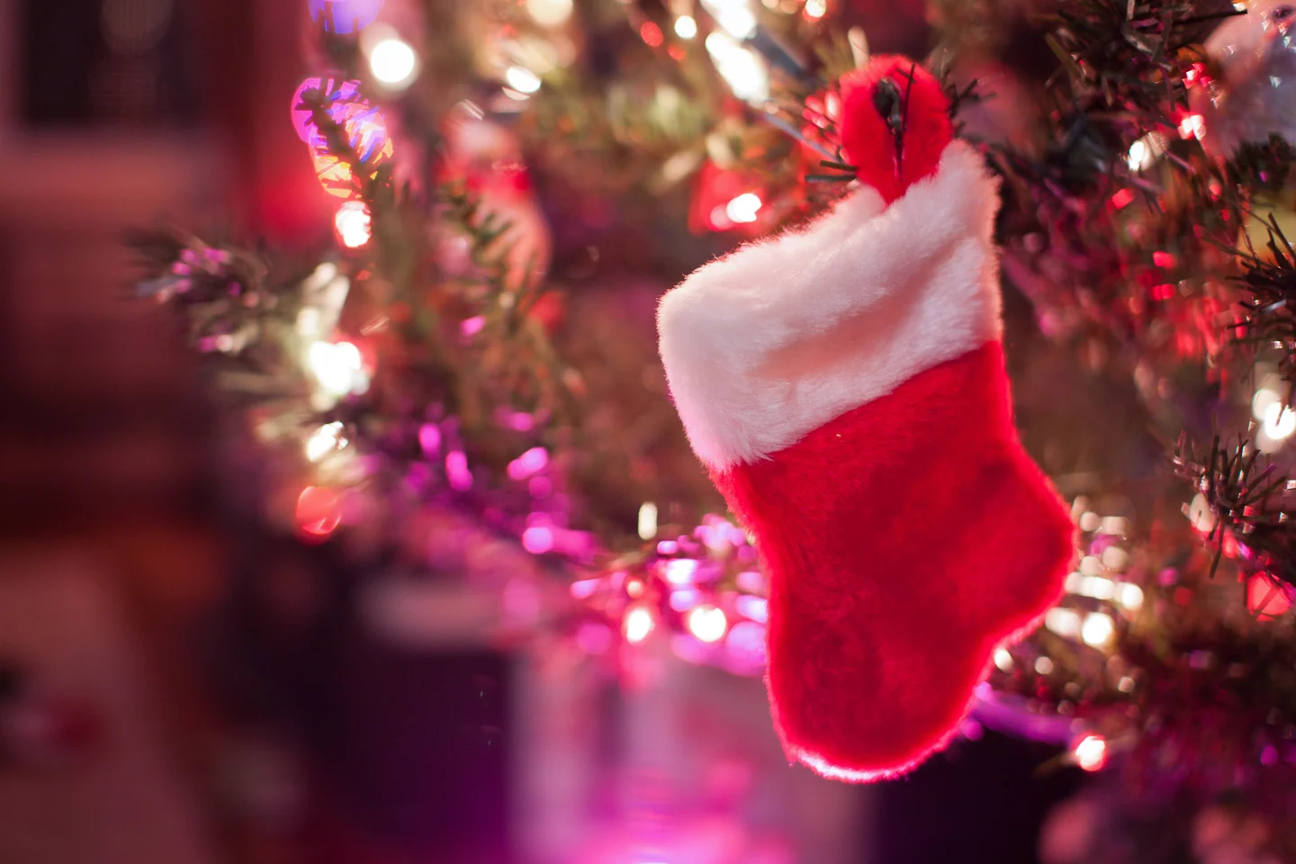 holiday-photo_03_sm.jpg