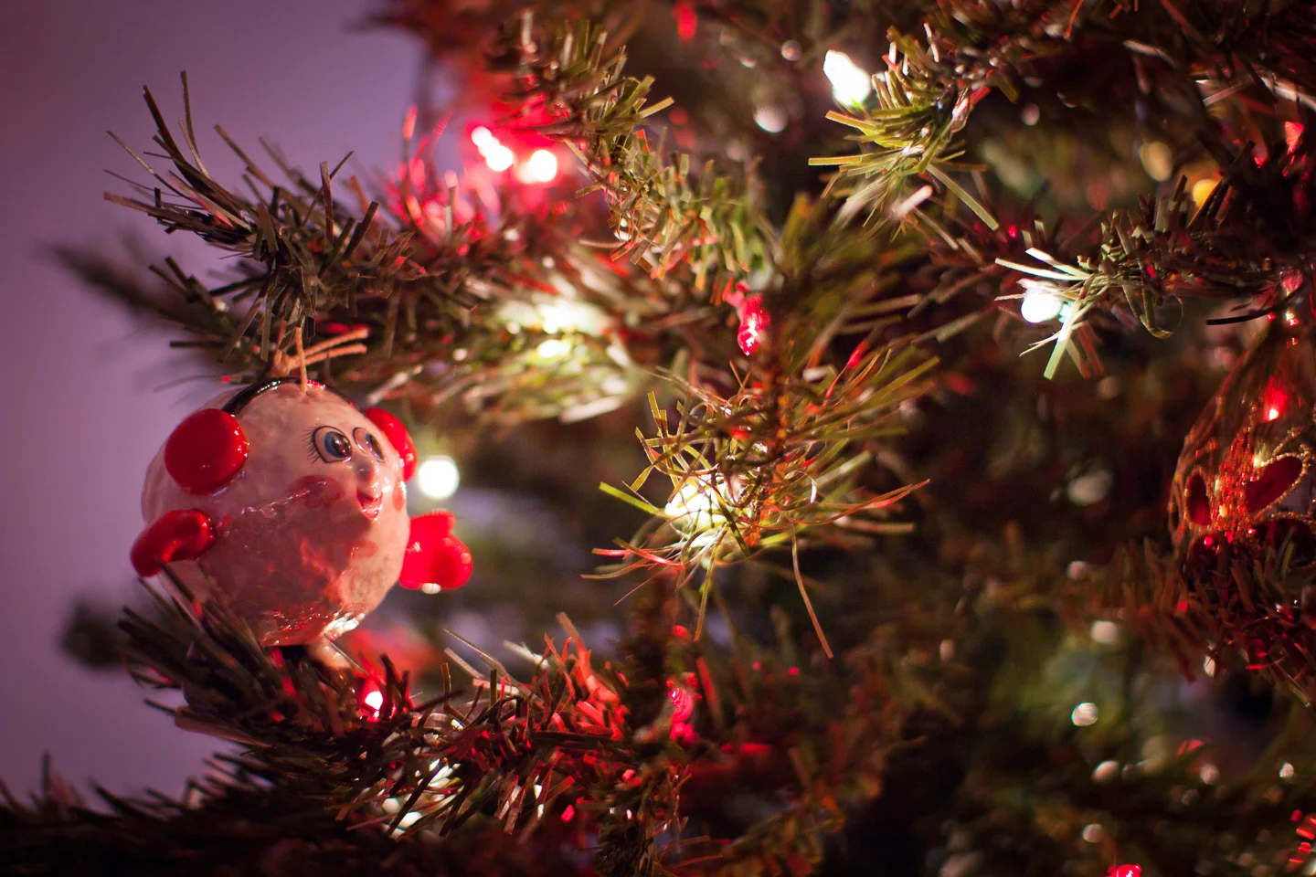 holiday-photo_10_sm.jpg