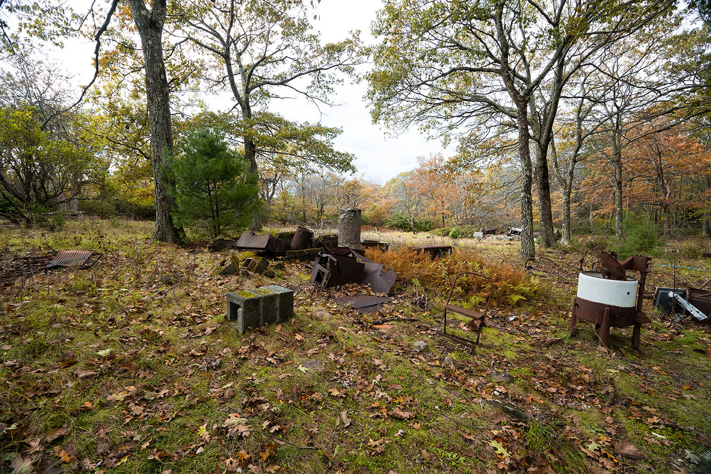 HauntedCabin_Reference01-sm.jpg