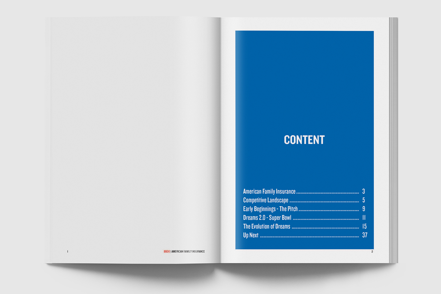AFICampaignBook_Spreads-01-sm.jpg