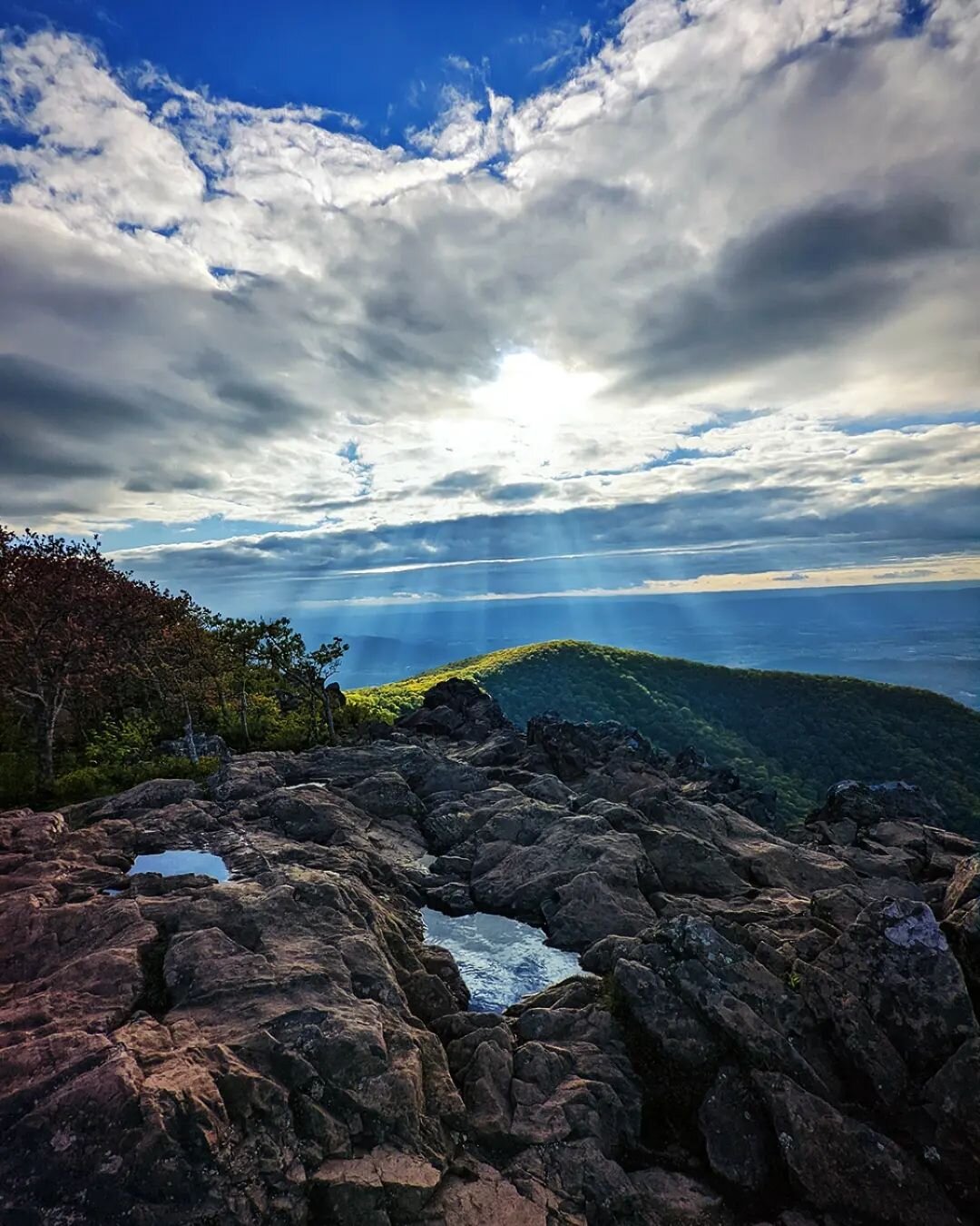 I'm a week late, but wanted to drop a few photos from Memorial Day Weekend down in #ShenandoahNationalPark 

We got a chance to see why Old Rag is so highly-praised (it's great!), but the length and technical scramble portions meant I didn't want to 