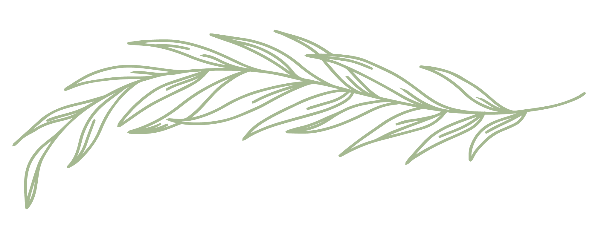 Single-Branch.png