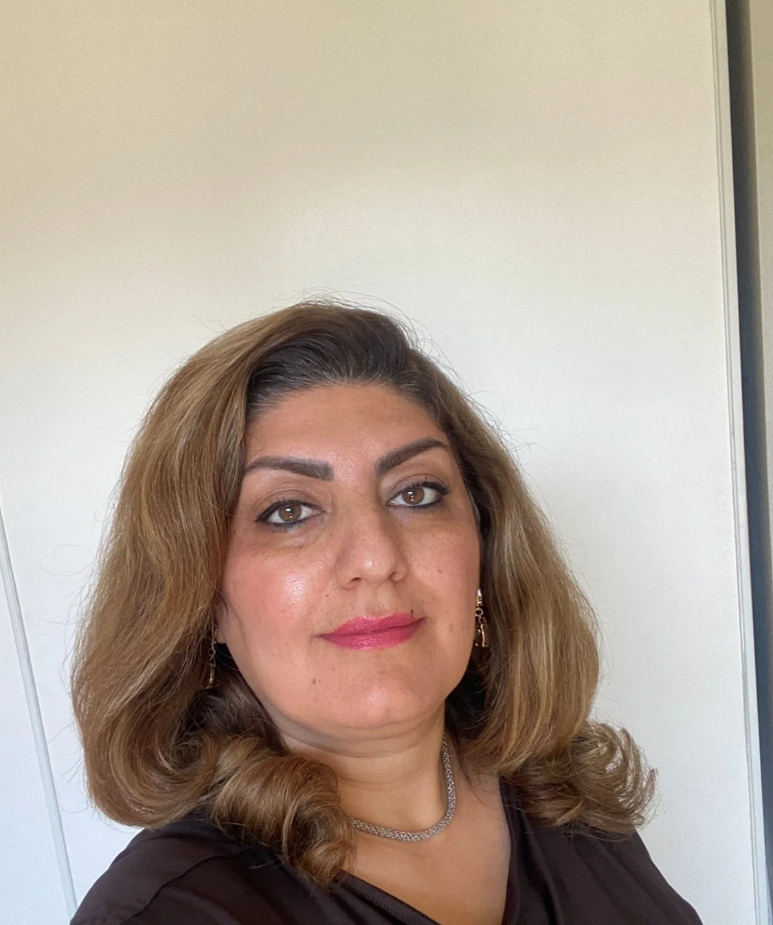 Bahar Shemshadi