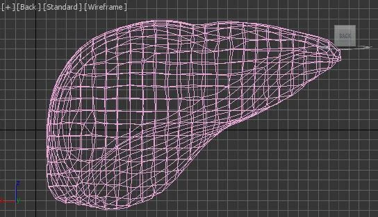  Liver Wireframe  