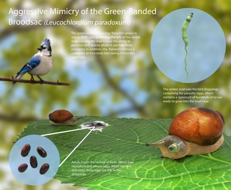  Version 1 Before Edits  