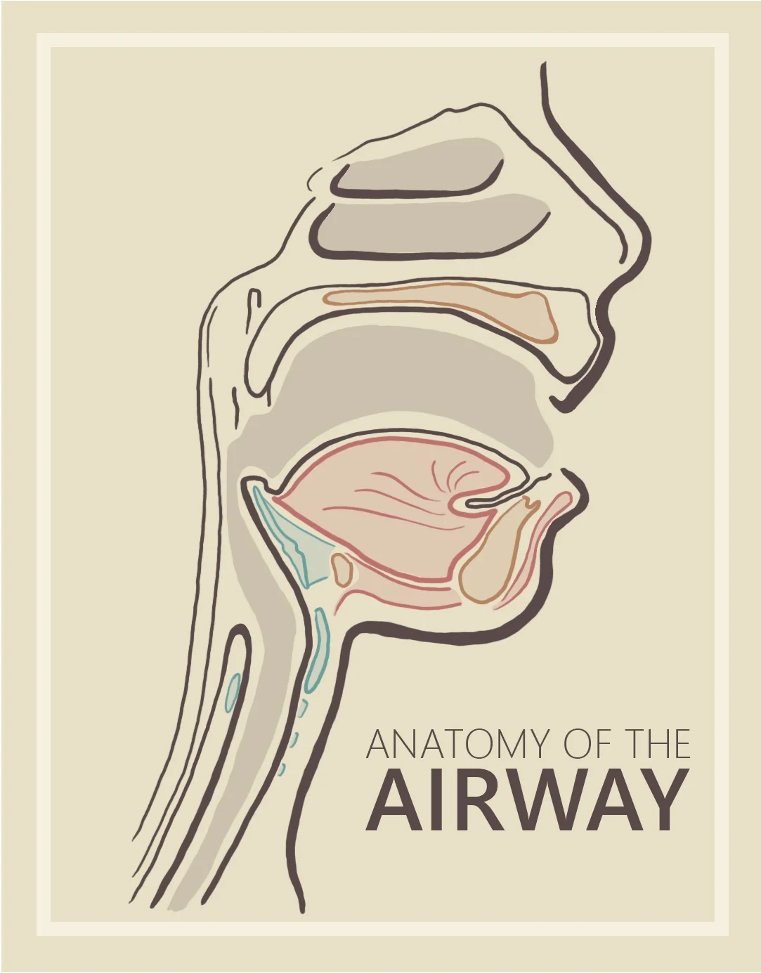   Illustration created by Logan Weihe  