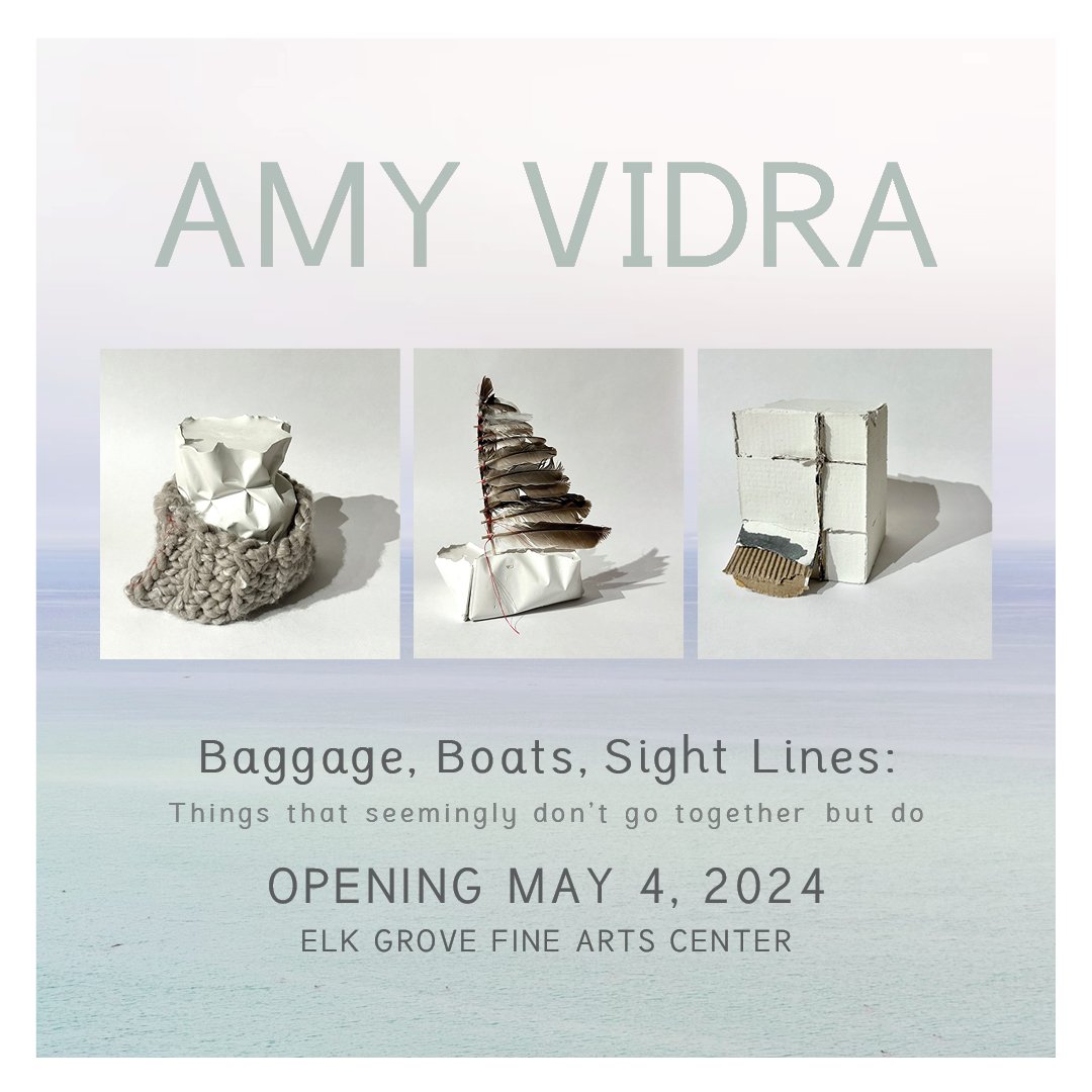 AMY VIDA FACEBOOK.JPG