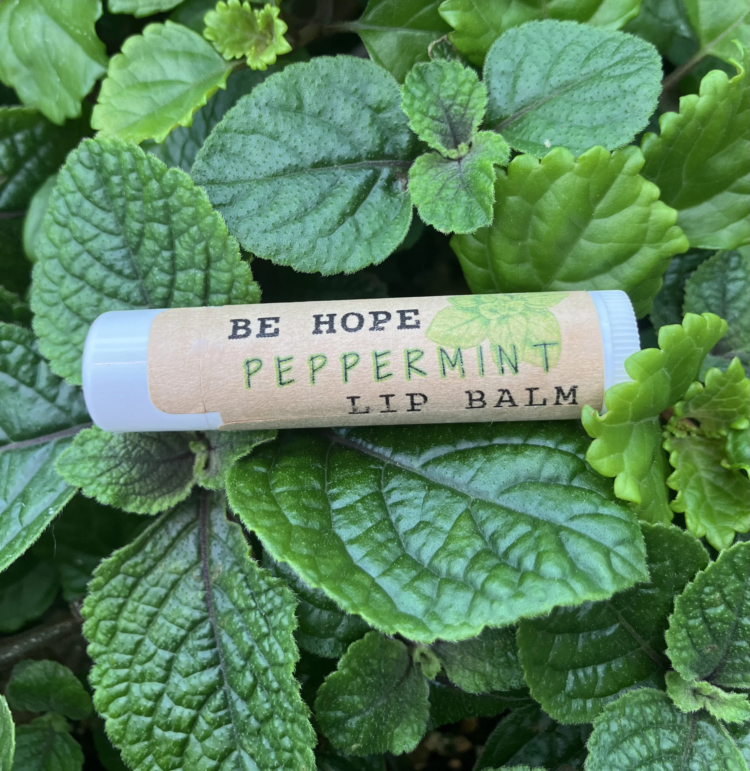 PeppermintTubeLB.jpeg