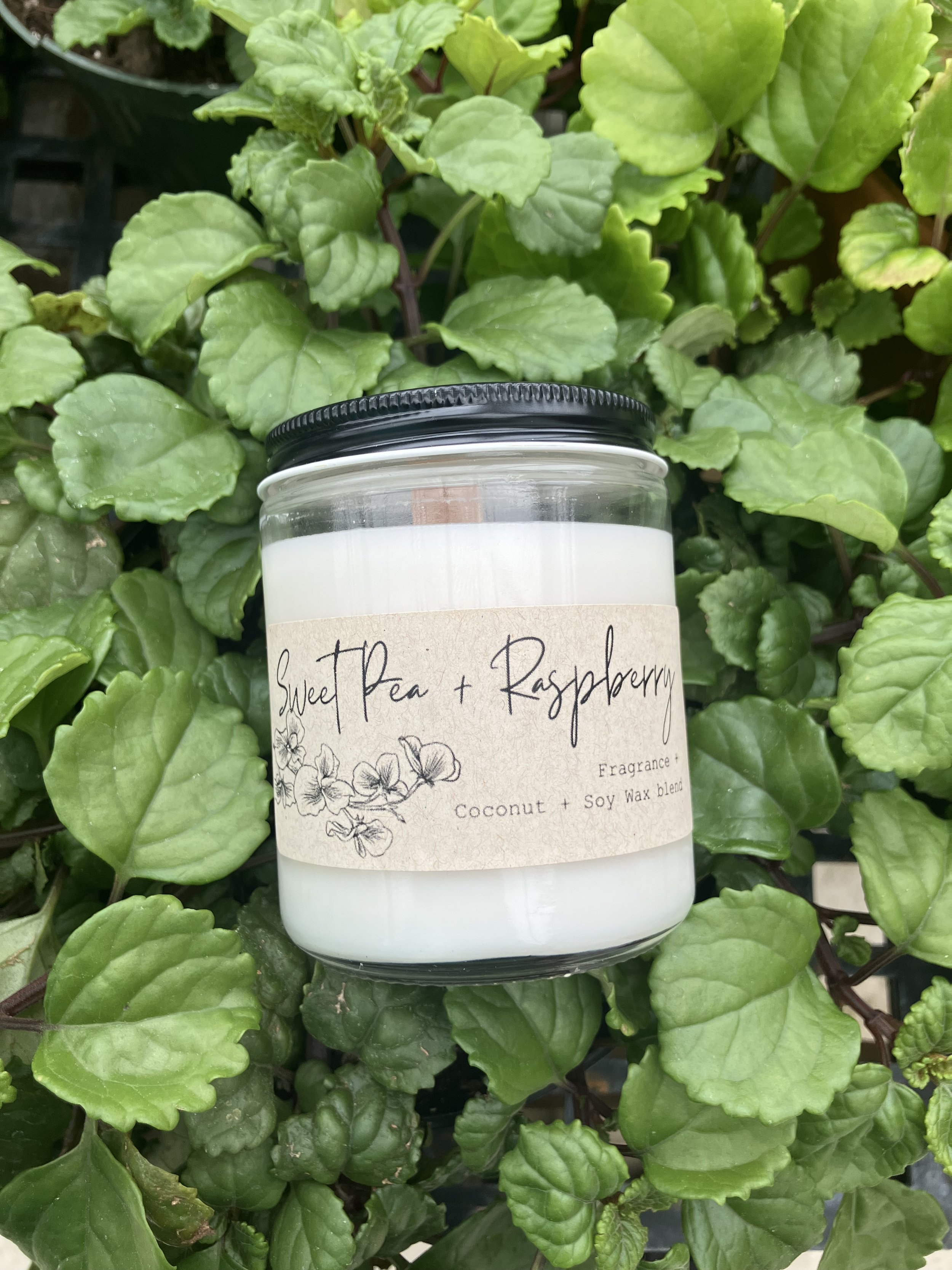 Sweetpea+raspberry updated.jpeg