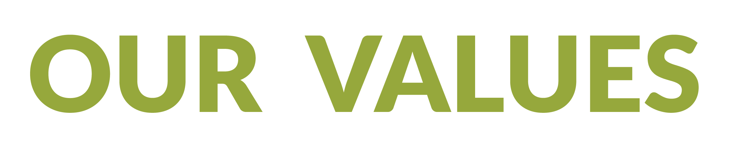 ourvalues-01.png