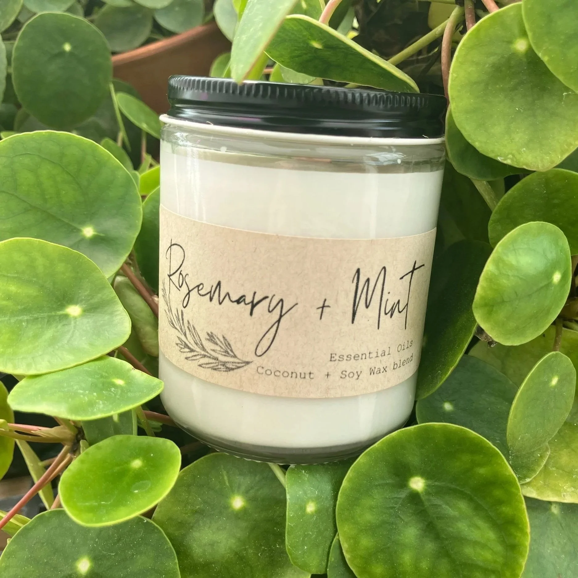 rosemarymint.jpg