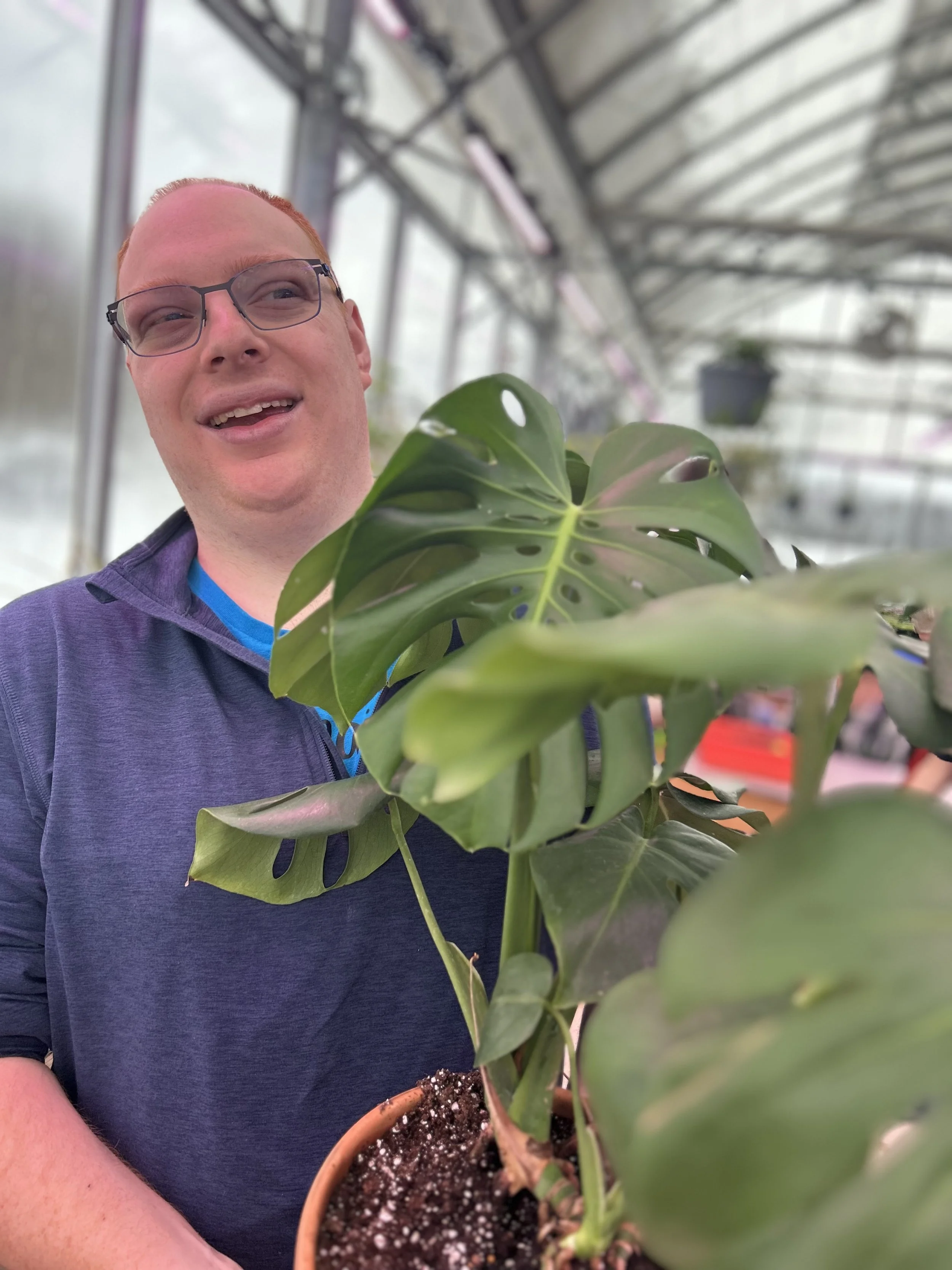 Monstera Plant in Terra Cotta Pot