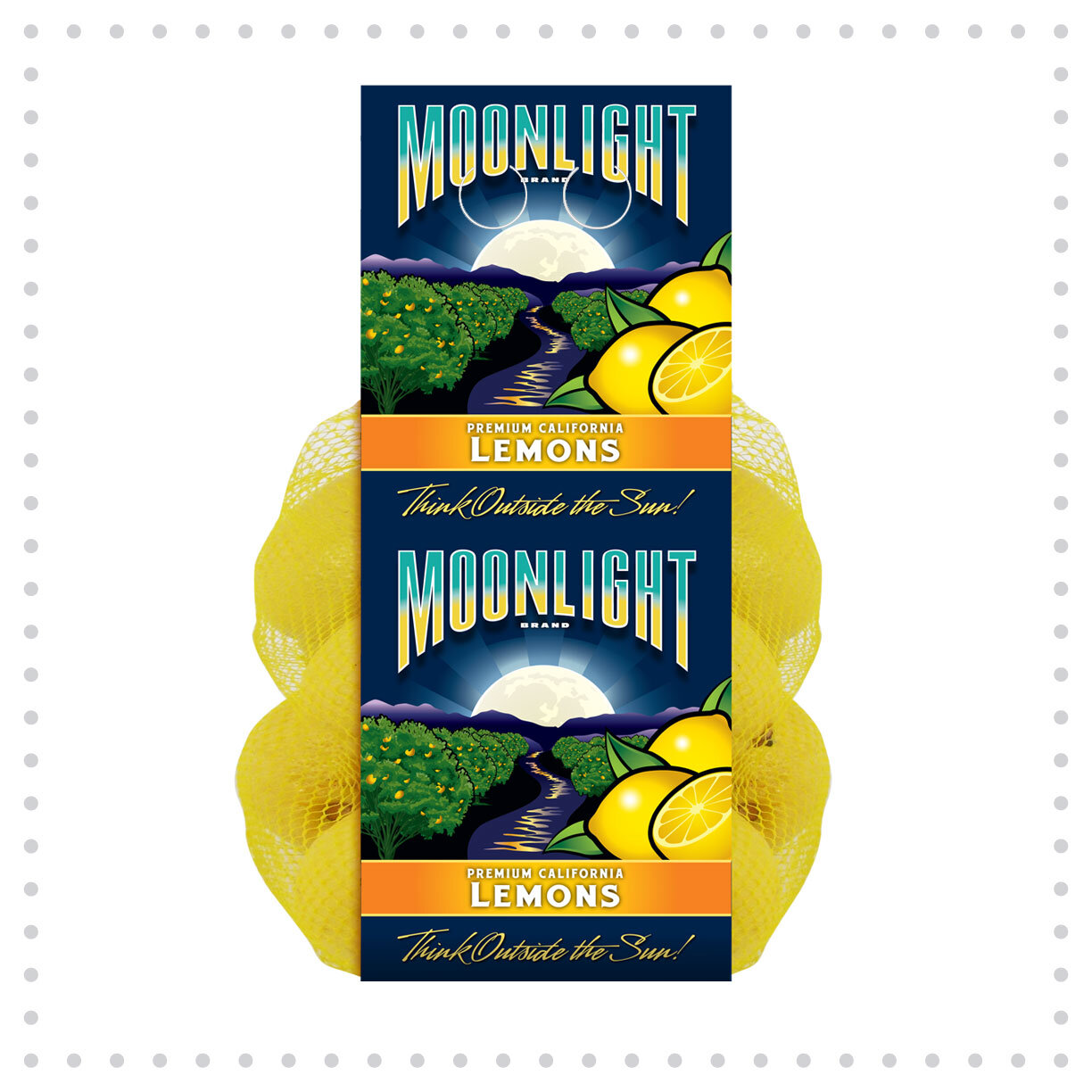 Ball-FilmBagDesign-MoonlightLemons.jpg