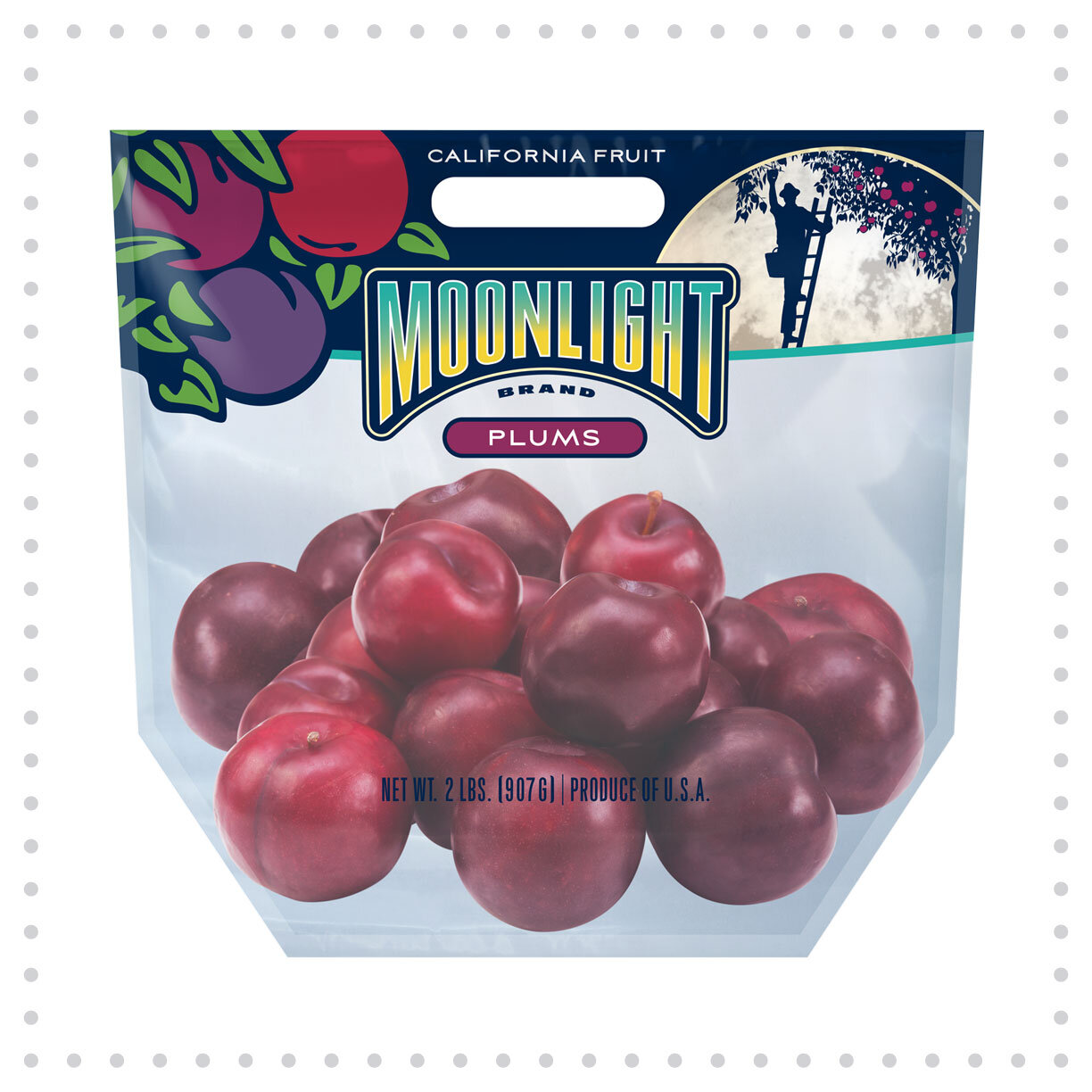 Ball-PouchBagDesign-MoonlightPlums.jpg