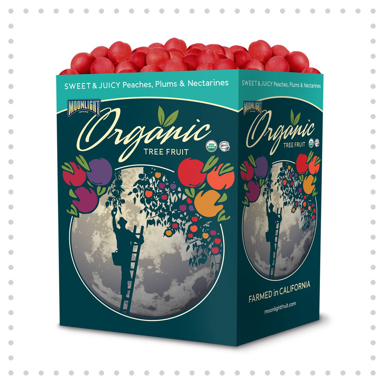 Ball-POPDisplayDesign-MoonlightOrganic.jpg