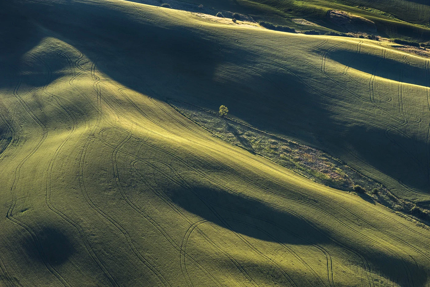 442-2099 The Palouse 2099 - Washington and Idaho, USA 2018