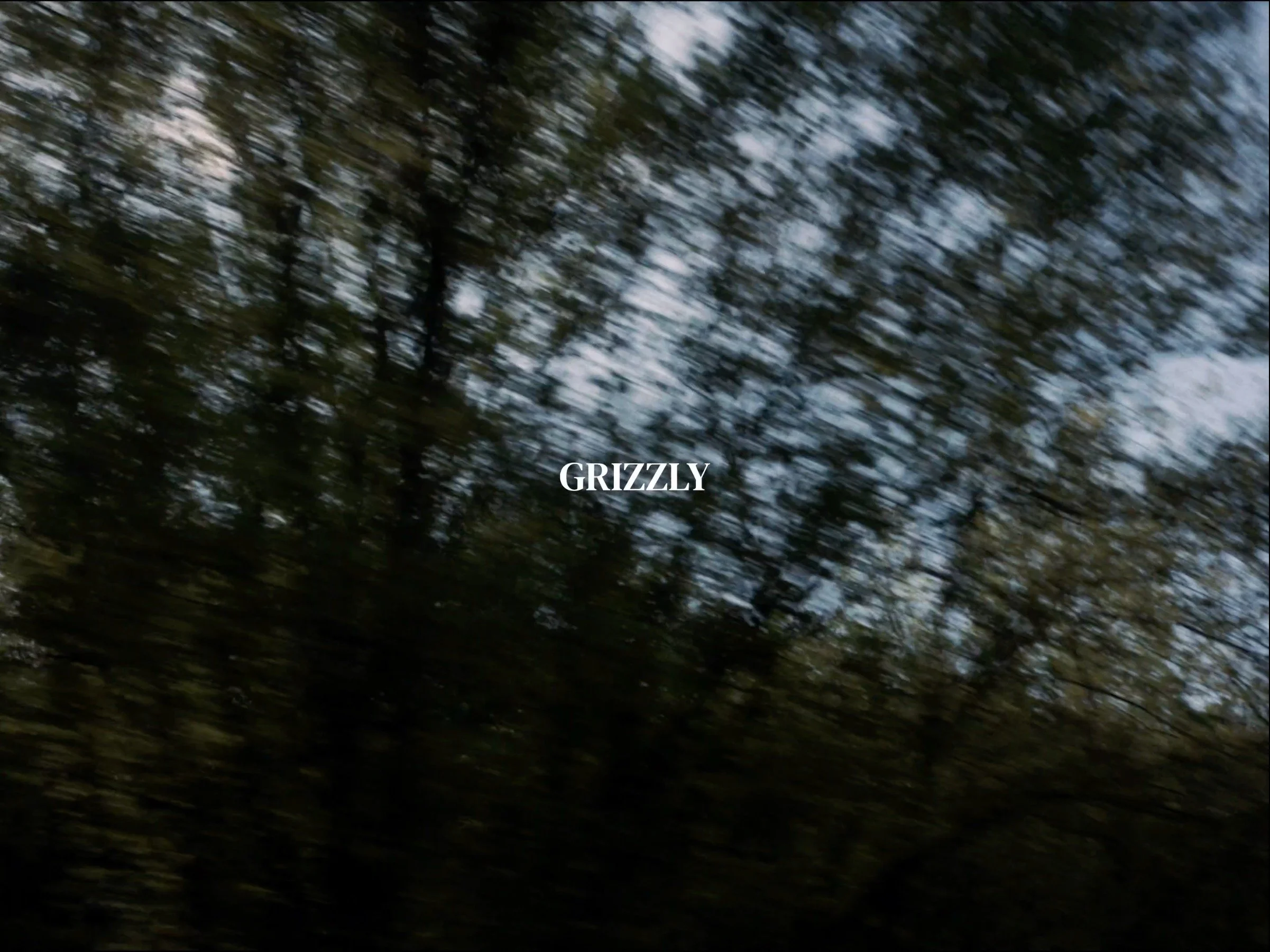 Grizzly