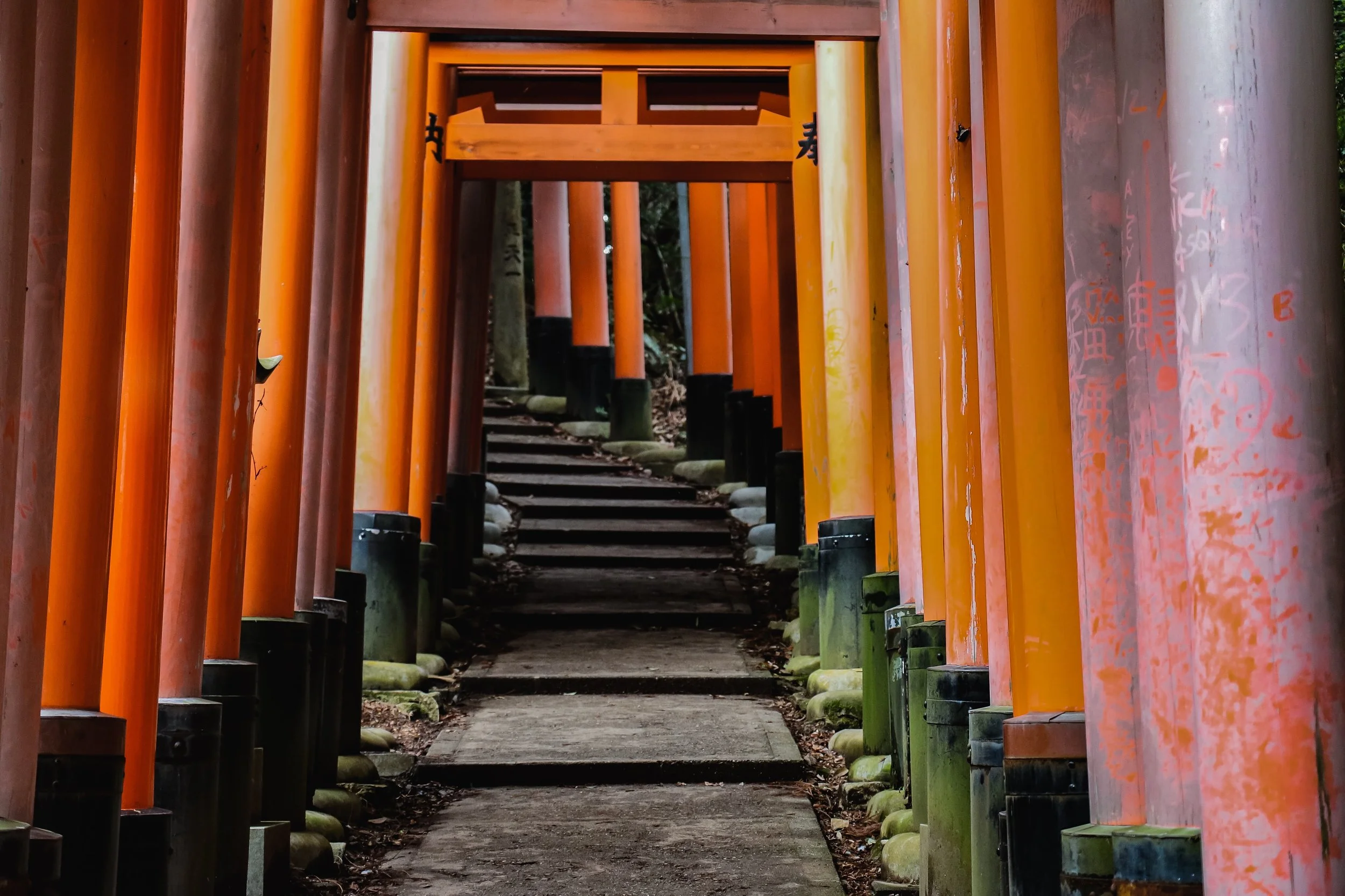 MEDIA CHALLENGE: Perfectly Imperfect