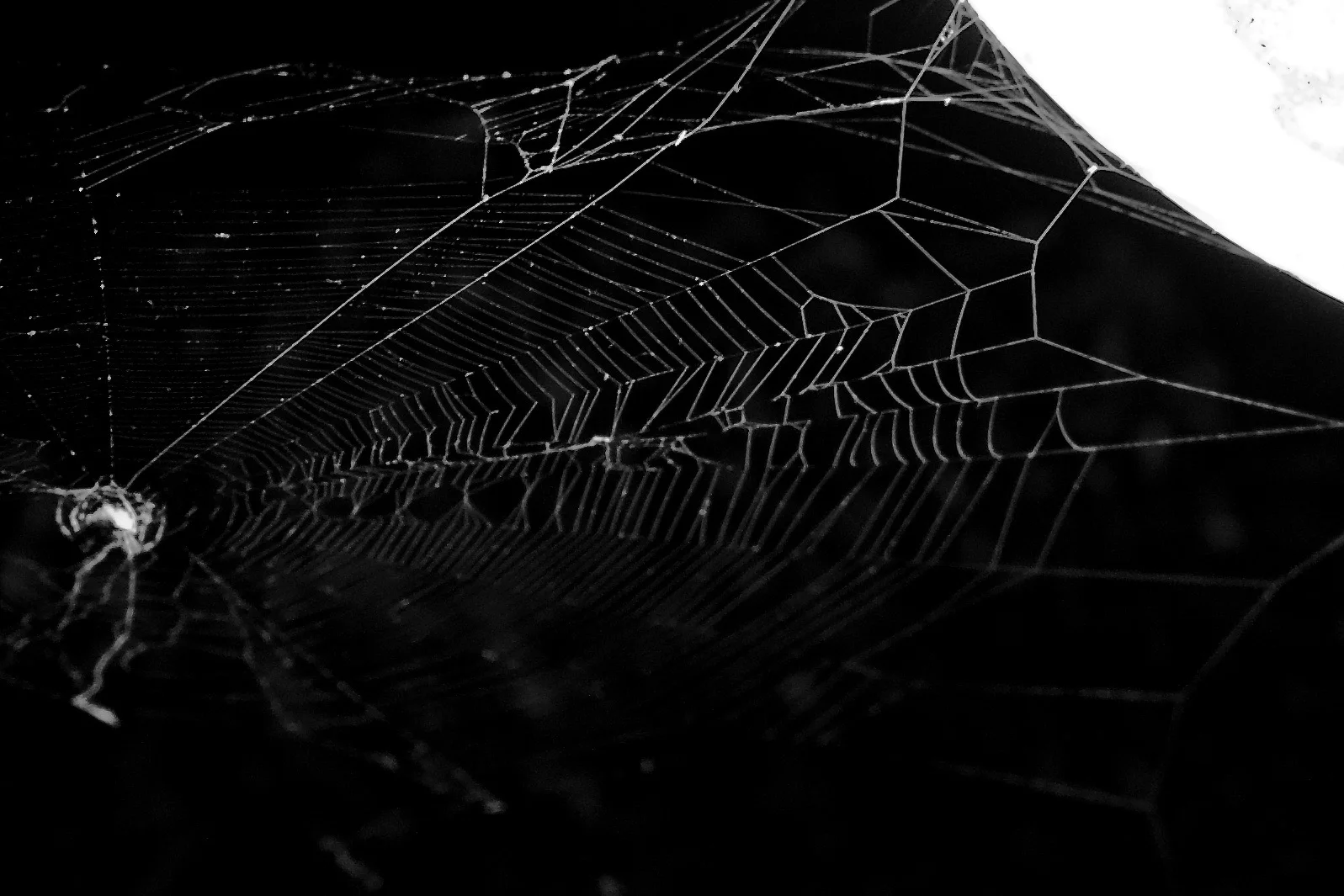 photo by stokes dunavan